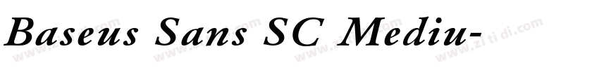 Baseus Sans SC Mediu字体转换